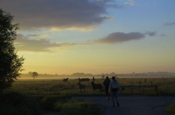 sonnenaufgang_an_der_drepte1.jpg