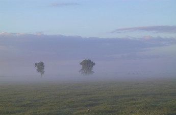 sonnenaufgang_an_der_drepte2.jpg