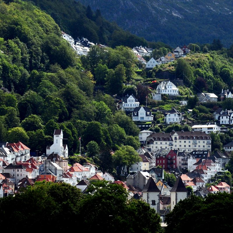 bergen4.jpg