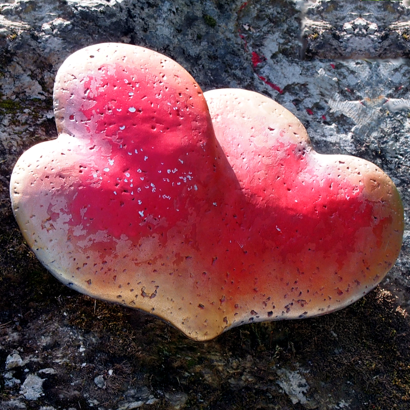 heart_art.jpg