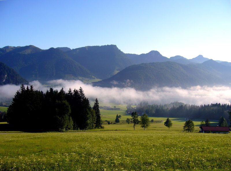 walchsee.jpg