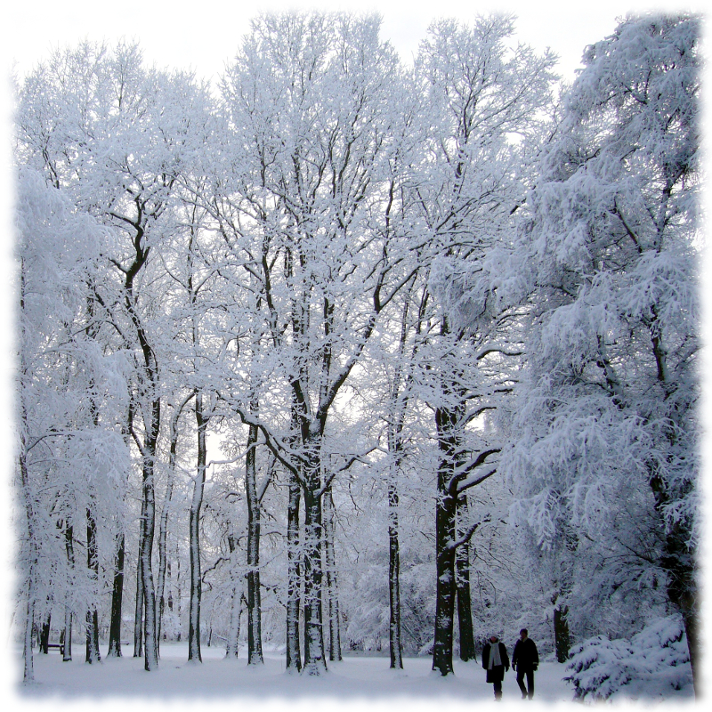 winter2.jpg
