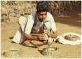 indien02 * 399 x 288 * (30KB)