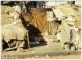 indien05 * 500 x 369 *
                                        (46KB)