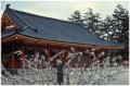 japan05 * 500 x 333 *
                                        (41KB)