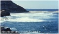 newcastle * 499 x 294 *
                                        (29KB)